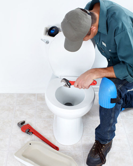 toilet repair